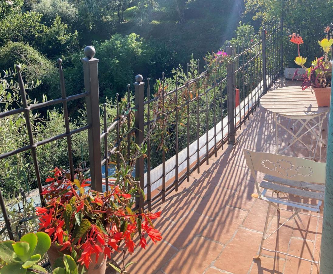 La Casina Delle Rondini Guest House Corsanico-Bargecchia Exterior photo