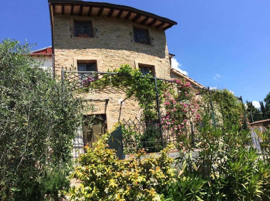 La Casina Delle Rondini Guest House Corsanico-Bargecchia Exterior photo